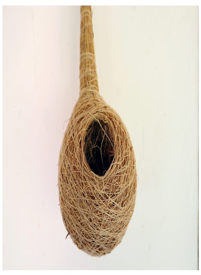 USIRA Safest Round Organic Bird nest Purely Handmade Sparrow/Small Birds,Natural Vetiver Root Bird Nest With 1 Artificial Bird combo - Image 4